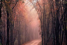 WTA奥斯汀站：袁悦组合逆转击败张帅组合夺冠.