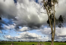 旺财28官网：世界羽联年终总决赛迎来决赛日 国羽提前锁定女单冠军 具体赛程→央视体育.