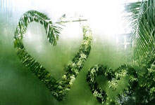 旺财28官网：萨内：想留在拜仁&我和球队相处得很好，将专注于自己的表现.