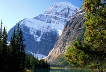 旺财28官网：记者：利雅得胜利准备向加布里埃尔开出2000万欧元的免税年薪.