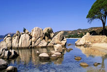 旺财28官网：天山时评丨在“尔滨”拼出新疆“冰雪奇旅”石榴云／新疆日报.